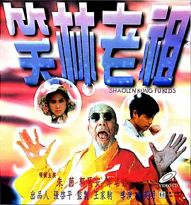 国产精品久久久久久亚洲小说